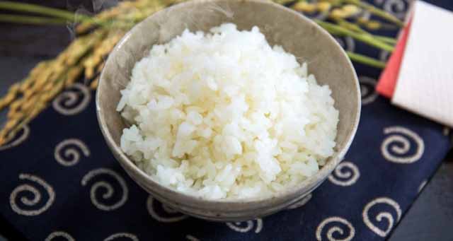 今日の晩御飯　新米